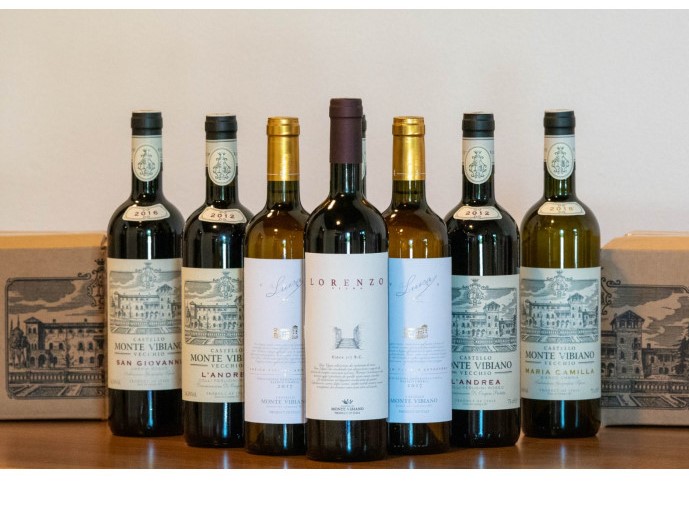Una prestigiosa collezione di bottiglie composta da: San Giovanni 2016,
L'Andrea 2012,
Maria Camilla 2018,
Vigna Luisa 2017,
Vigna Lorenzo 2010.