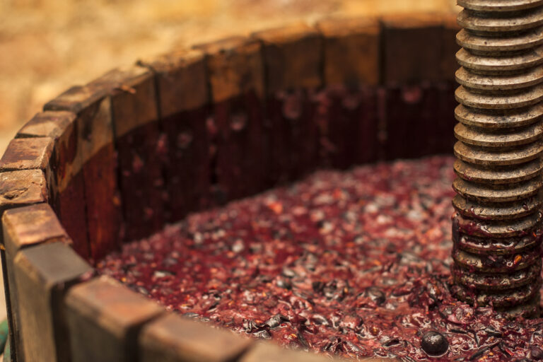 Vendemmia: Torchio con mosto rosso