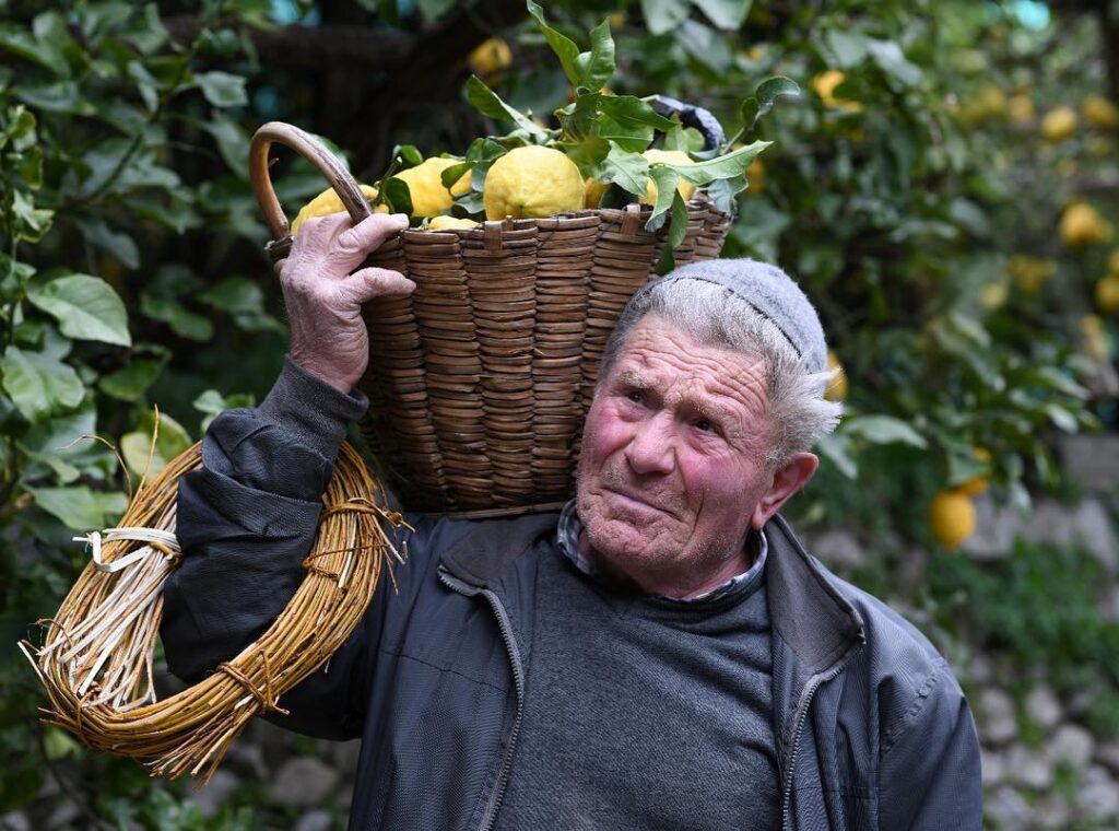 Nonno Giuseppe, contadino amante della sua terra e dei suoi limoni. 