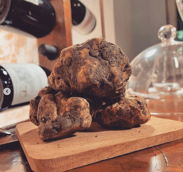 Il re della tavola: il tartufo bianco pregiato in un ristorante di Fossombrone 