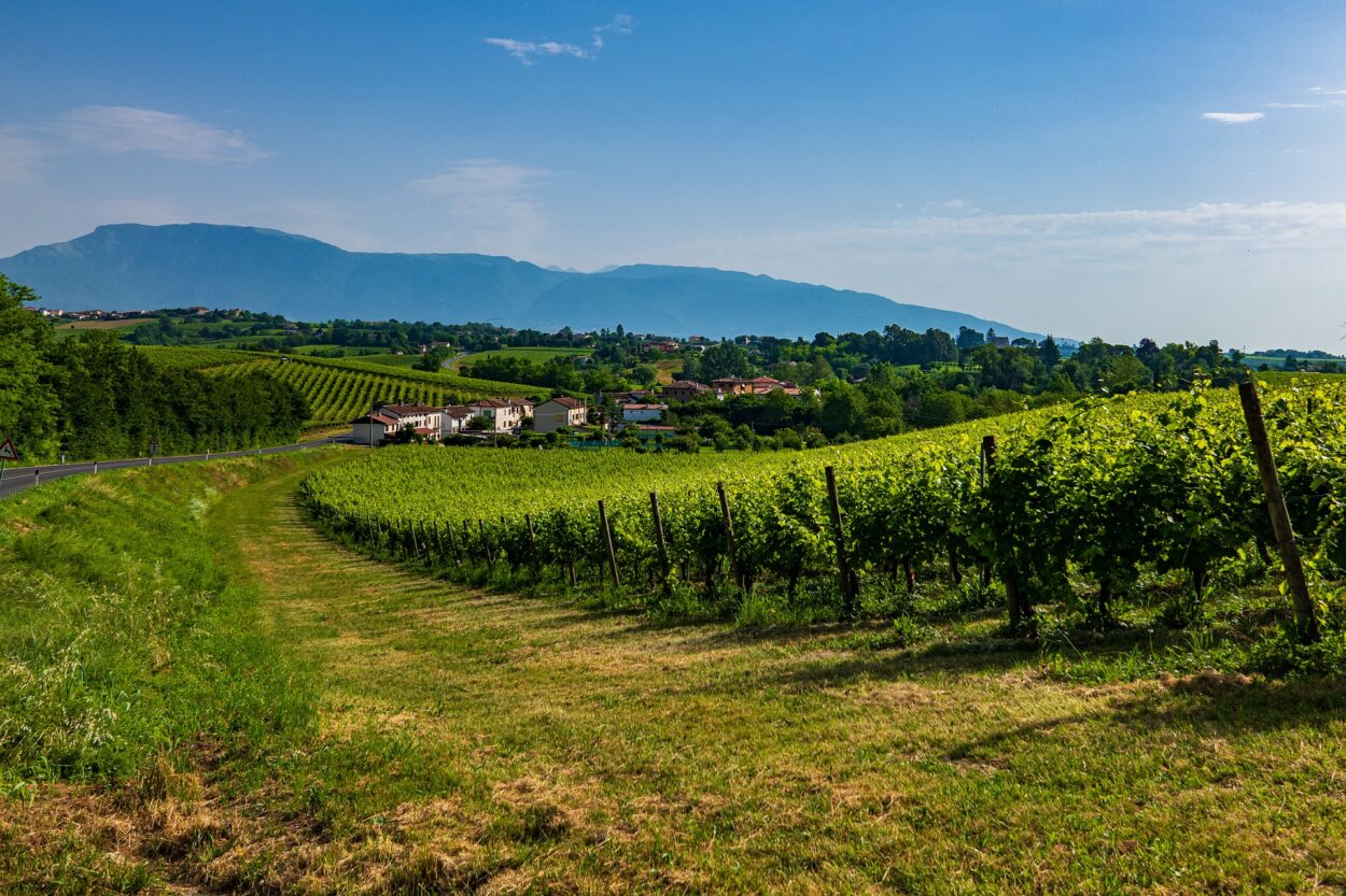 Valdobbiadene-Conegliano zona di Prosecco