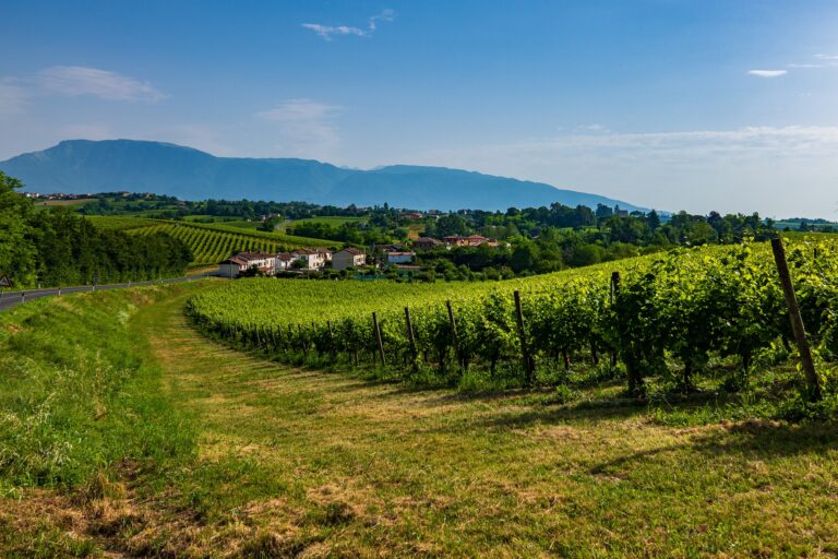 Valdobbiadene-Conegliano zona di Prosecco