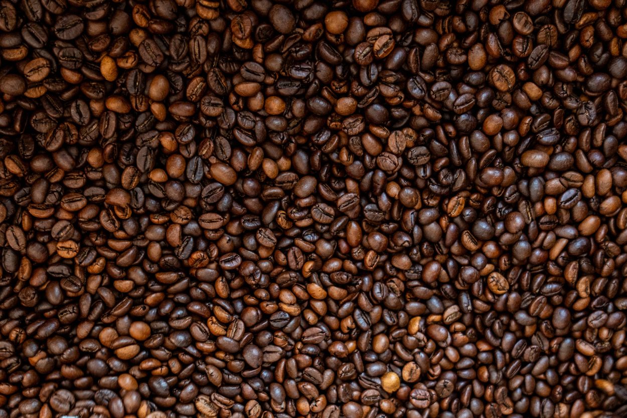 Foto di Jacopo Fortino