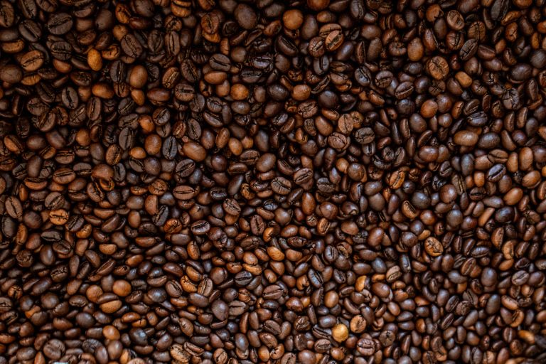 Foto di Jacopo Fortino